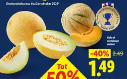 Lidl Galia of cantaloupe meloen aanbieding