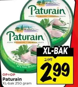 Vomar Voordeelmarkt Paturain aanbieding