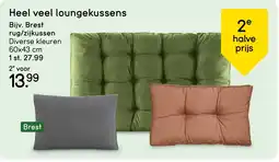 Leen Bakker Heel veel loungekussens aanbieding