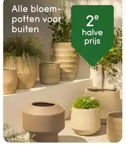 Leen Bakker Alle bloem potten voor buiten aanbieding