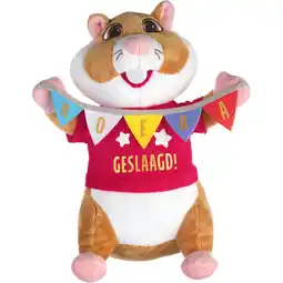 Albert Heijn AH Hamster geslaagd aanbieding