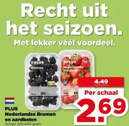 PLUS PLUS Nederlandse Bramen en aardbeien aanbieding