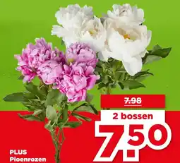 PLUS PLUS Pioenrozen aanbieding