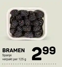 Ekoplaza Bramen aanbieding