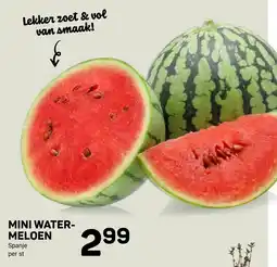 Ekoplaza Mini watermeloen aanbieding