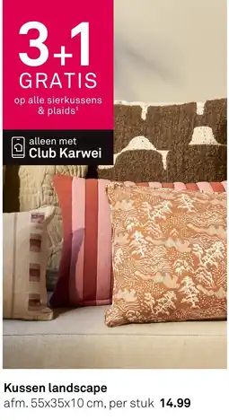 Karwei Kussen landscape aanbieding