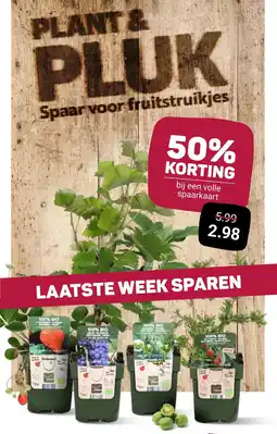 Ekoplaza Plant & pluk spaar voor fruitstruikjes aanbieding