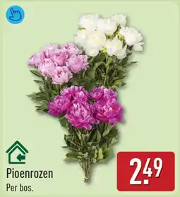 ALDI Pioenrozen aanbieding