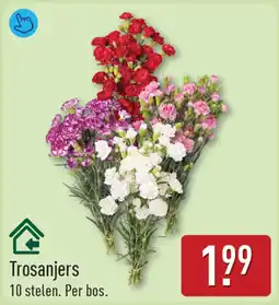 ALDI Trosanjers aanbieding