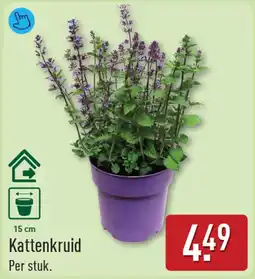 ALDI Kattenkruid aanbieding