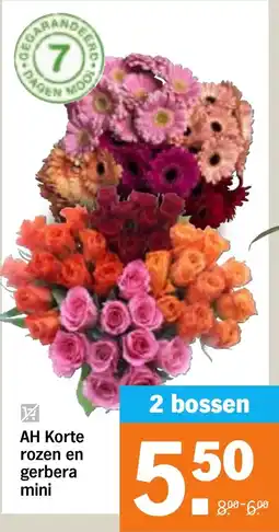 Albert Heijn AH Korte Rozen en Gerbera Mini aanbieding