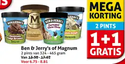 Hoogvliet Ben & Jerry's of Magnum aanbieding