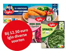 Hoogvliet Iglo diverse soorten aanbieding