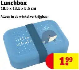 Kruidvat Lunchbox aanbieding