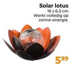 Trekpleister Solar Lotus aanbieding