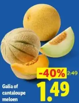 Lidl Galia of cantaloupe meloen aanbieding