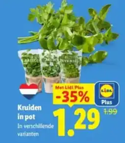 Lidl Kruiden in pot aanbieding