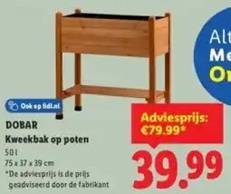 Lidl Dobar Kweekbak op Poten aanbieding