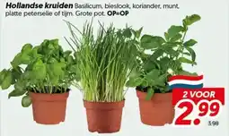 Dekamarkt Hollandse kruiden aanbieding