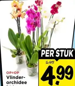 Vomar Voordeelmarkt Vlinder- orchidee aanbieding