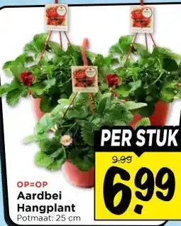 Vomar Voordeelmarkt Aardbei Hangplant aanbieding