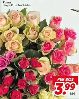 Dekamarkt Rozen aanbieding