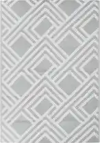 Bol.com vidaXL - Buitenkleed - ARAKIL - 160x230 - cm - PP - grijs aanbieding