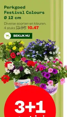 Welkoop Perkgoed Festival Colours Ø 12 cm aanbieding