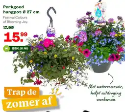 Welkoop Perkgoed hangpot Ø 27 cm aanbieding