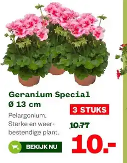Welkoop Geranium Special Ø 13 cm aanbieding