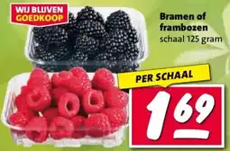 Nettorama Bramen of frambozen aanbieding