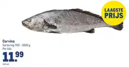 Makro Corvina aanbieding