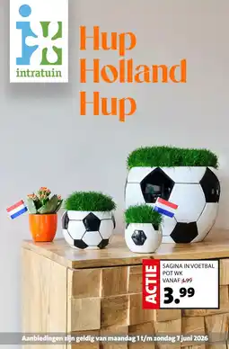 Intratuin SAGINA IN VOETBAL aanbieding