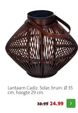 Intratuin Lantaarn Cadiz. Solar, bruin. Ø 35 cm, hoogte 29 cm. aanbieding