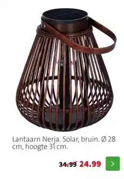 Intratuin Lantaarn Nerja. Solar, bruin. Ø 28 cm, hoogte 31 cm. aanbieding