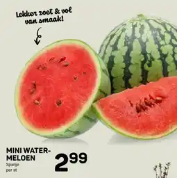 Ekoplaza MINI WATER-MELOEN aanbieding