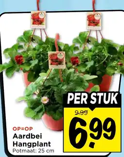 Vomar Voordeelmarkt Aardbei Hangplant aanbieding