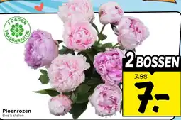 Vomar Voordeelmarkt Pioenrozen aanbieding