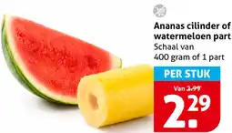 Hoogvliet Ananas cilinder of watermeloen part aanbieding