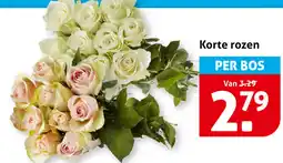 Hoogvliet Korte rozen aanbieding