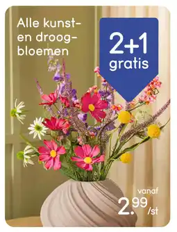 Leen Bakker Bekijk Alle kunst- en droogbloemen aanbieding