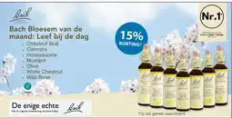 De Rode Pilaren De enige echte Bach aanbieding