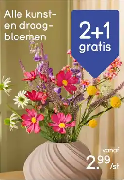 Leen Bakker Alle kunst en droog bloemen aanbieding