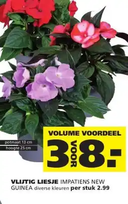 Ranzijn VLIJTIG LIESJE aanbieding