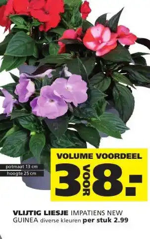 VLIJTIG LIESJE