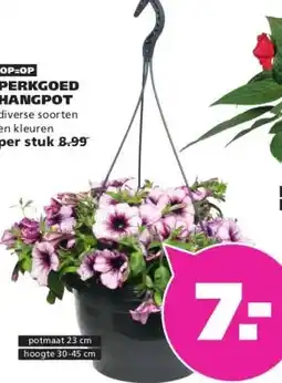 Ranzijn PERKGOED HANGPOT aanbieding