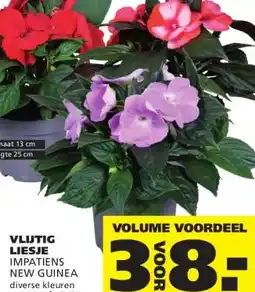 Ranzijn VLIJTIG LIESJE aanbieding