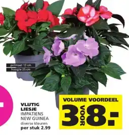 Ranzijn Vlijtig Liesje Impatiens New Guinea aanbieding