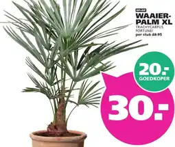 Ranzijn WAAIER- PALM XL aanbieding