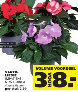 Ranzijn VLIJTIG LIESJE aanbieding
